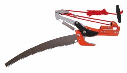 Nonice na konre s plkou